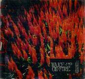 Wake Up On Fire : Demo